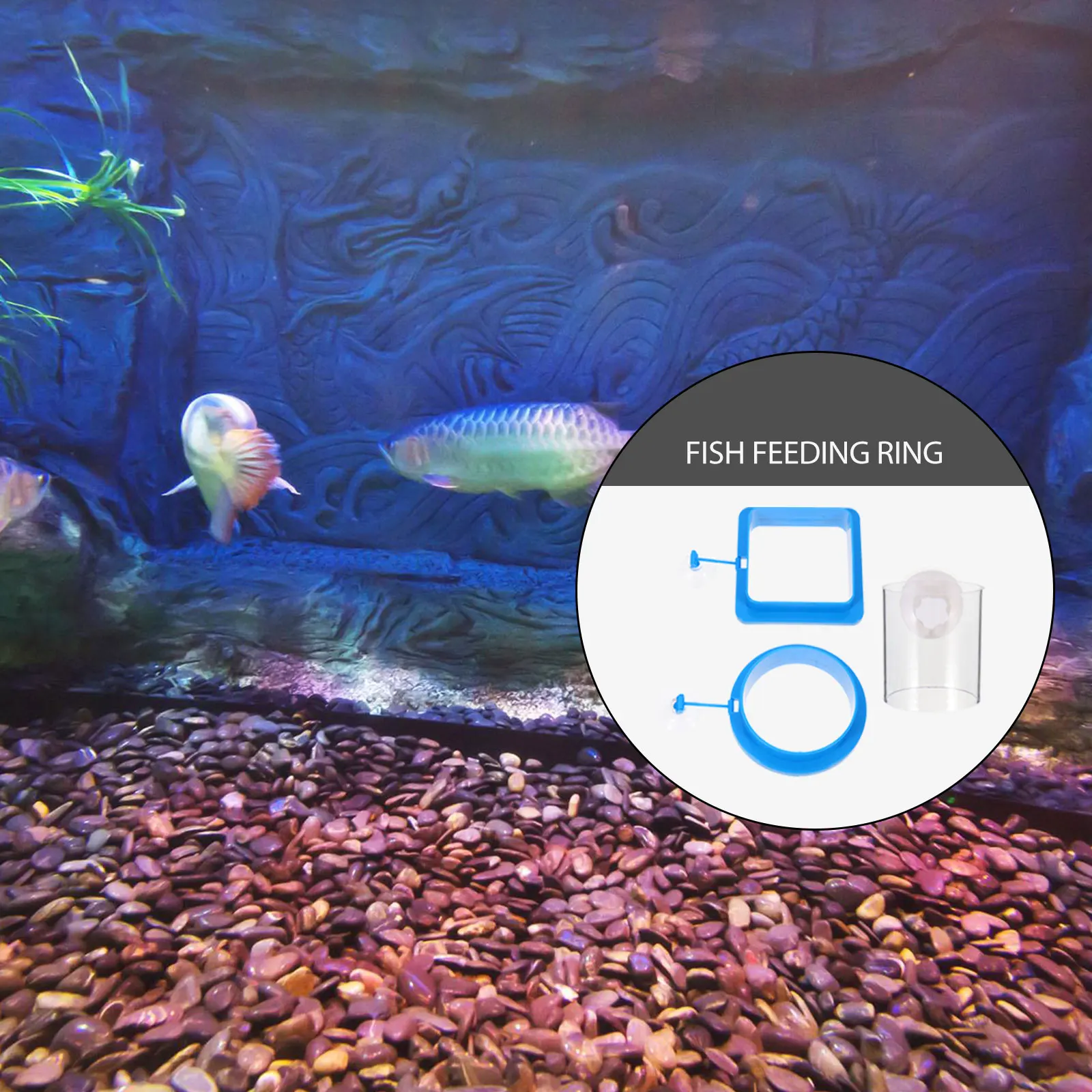 

Fish Feeding Ring Reusable Floating Feeder Circle for Tank Aquarium Goldfish Small Practical Durable Feeding Portal Food