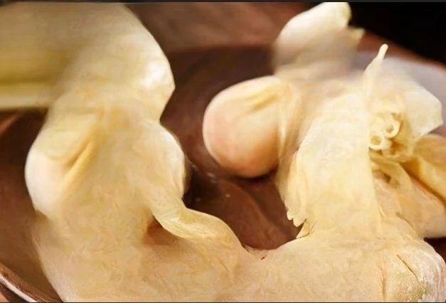 ماكينة صنع وونتون ماكينة طي ماكينة حشو الزلابية