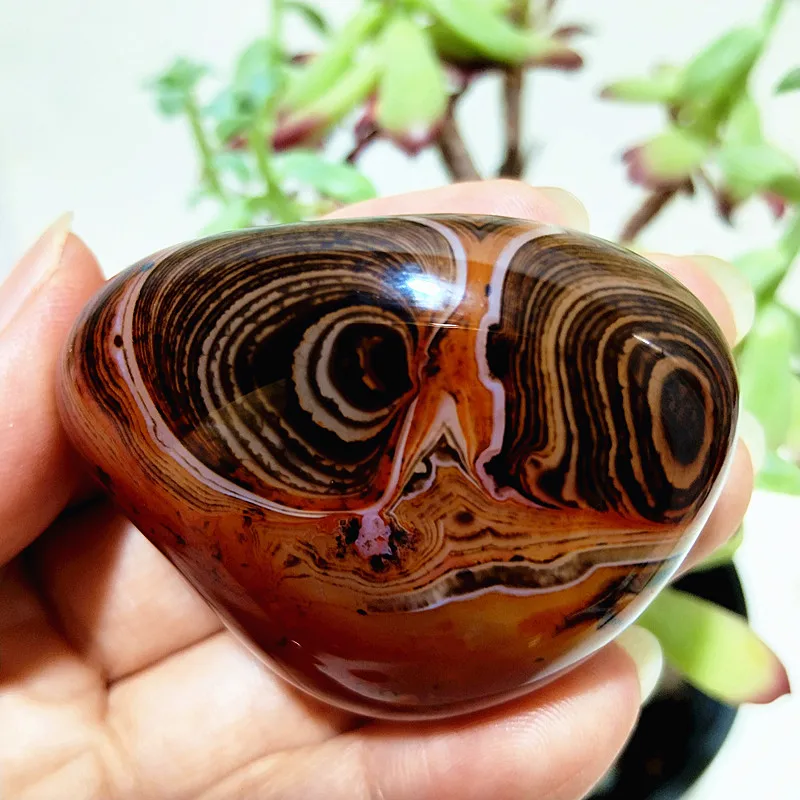 Natural Stone Lace Sardonyx Agate Crsytal Palm Stones Meditation Spiritual Healing Feng Shui Gem Room Decoration