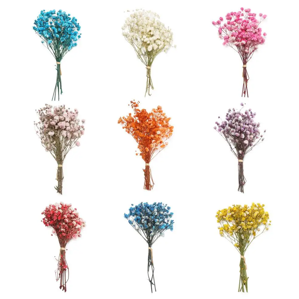 Colorful Photo Props Home Decoration Natural Material Plant Stems Mini Babysbreath Natural Dried Bouquets Real Flower