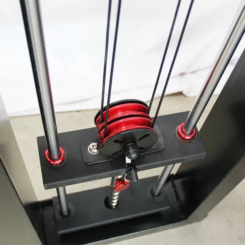 

Gym Double Cable Multifunctional Wall Mounted Trainer