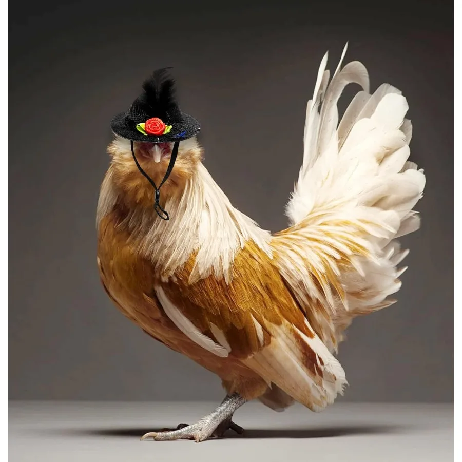 أذرع الدجاج TRex أذرع الدجاج القوية لارتداء الدجاج