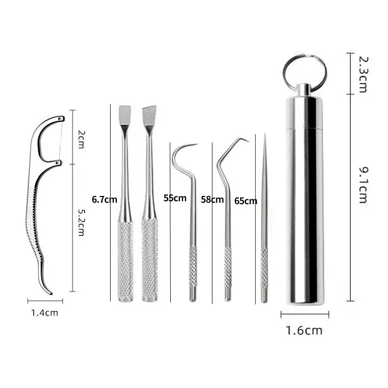 Ensemble de cure-dents en acier inoxydable, fil dentaire, cure-dents réutilisables, portable, nettoyant pour les dents, livres oraux