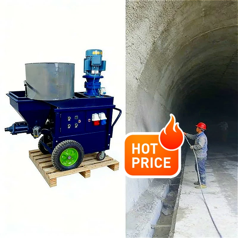 

Efficient Professional Electric Mortar Cement Plaster Machine Spray Pump for Wall Rendering Renovation Work Customized Hot Sale