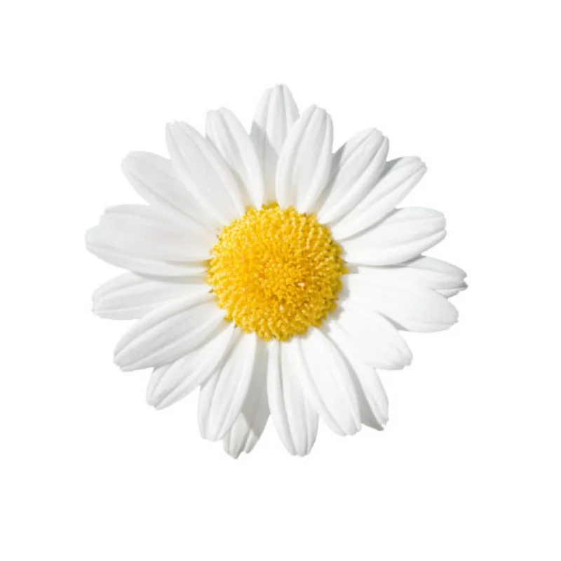 

Metal Transmission Gearbox 370 Motor with Drive Shaft Upgrade Accessories for WPL C14 C24 B24 B36 MN D90 MS RC Car