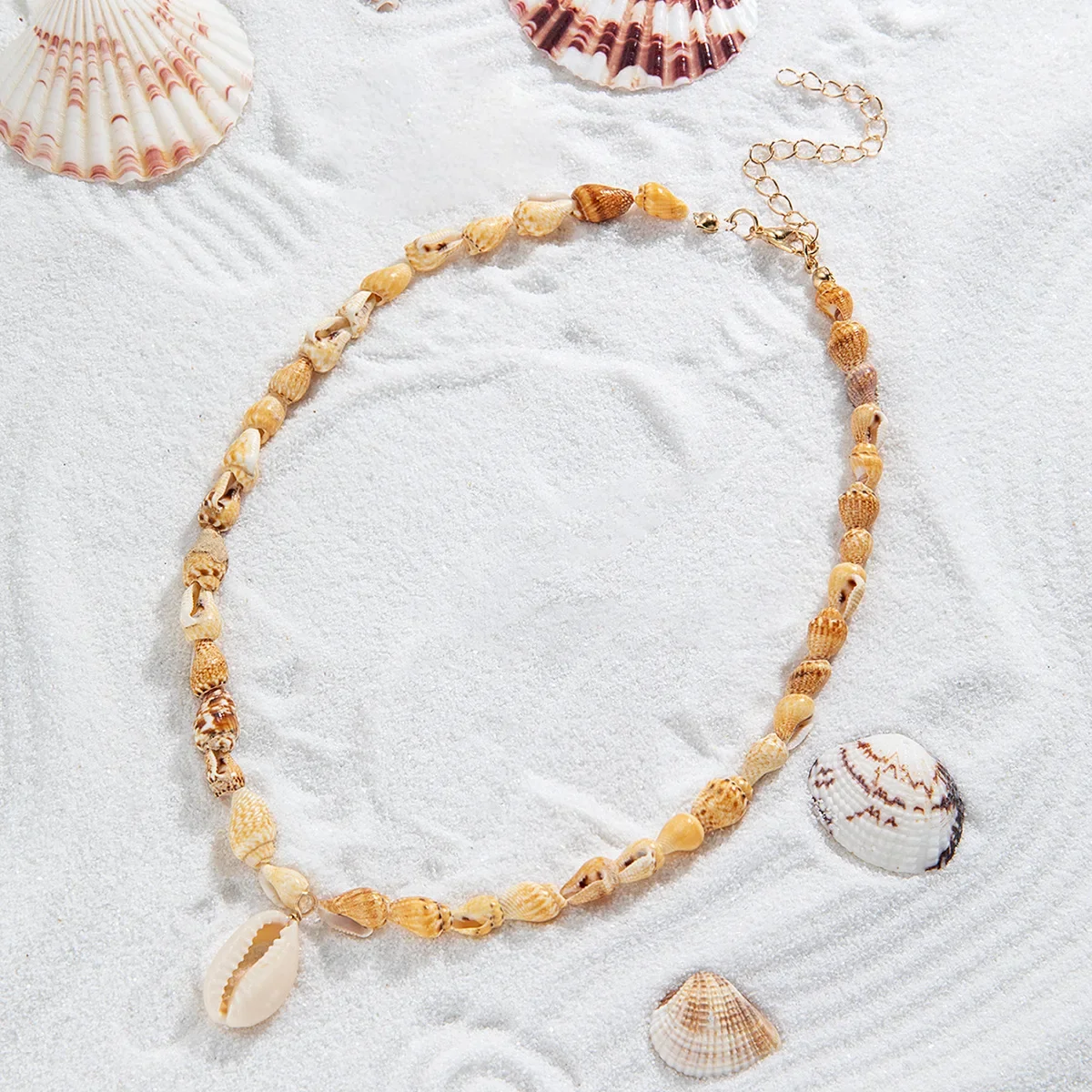 Bohemian Beach Shel… - image