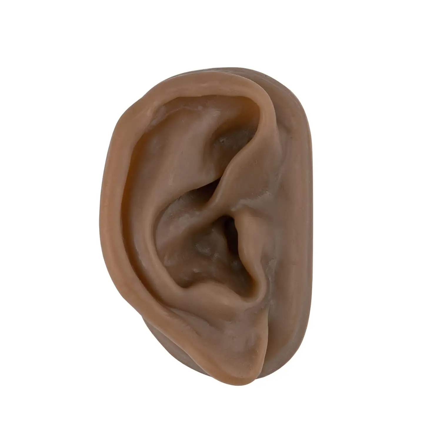 Right Artificial Ear Replica Acupuncture Ear Model Piercing Practice Hearing Aids Jewelry Display for Auricular Therapy Teaching