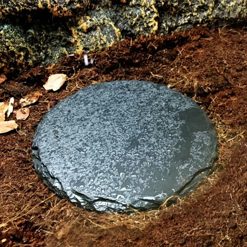 Thumbnail 3 - #41 Compare Reptile Water Bowls Before You Buy