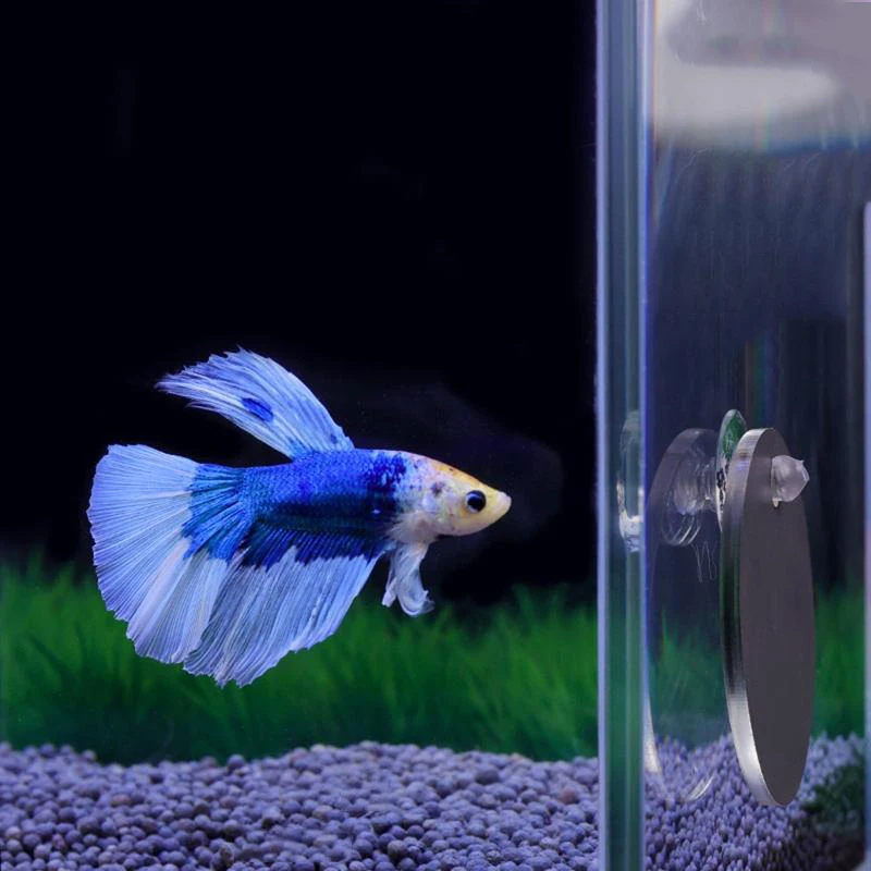 Acrylic Aquarium Betta Mirror Fish Tank Floating Round Mirror For Fish Betta Flowerhorn Cichlid Training 4cm/5cm/6cm/7cm/8cm