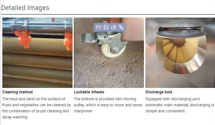 Full Automatic Industrial Fresh Fruit and Vegetable Dried Fruit Mango Raisin Washing Drying Making Machine Production Line