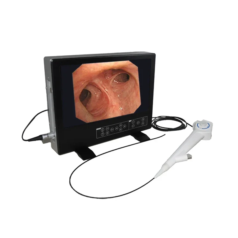 

Hot Sale Single Use High Quality HD Urology Flexible Reusable Ureteroscope Video Ureteroscope