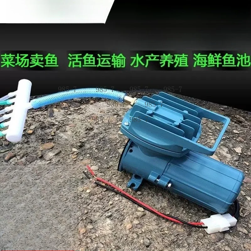 Fish Tank & Fish Pond Oxygenation Air Pump, 12V DC Air Pump with Battery, Used as Vehicle Oxygen Machine
