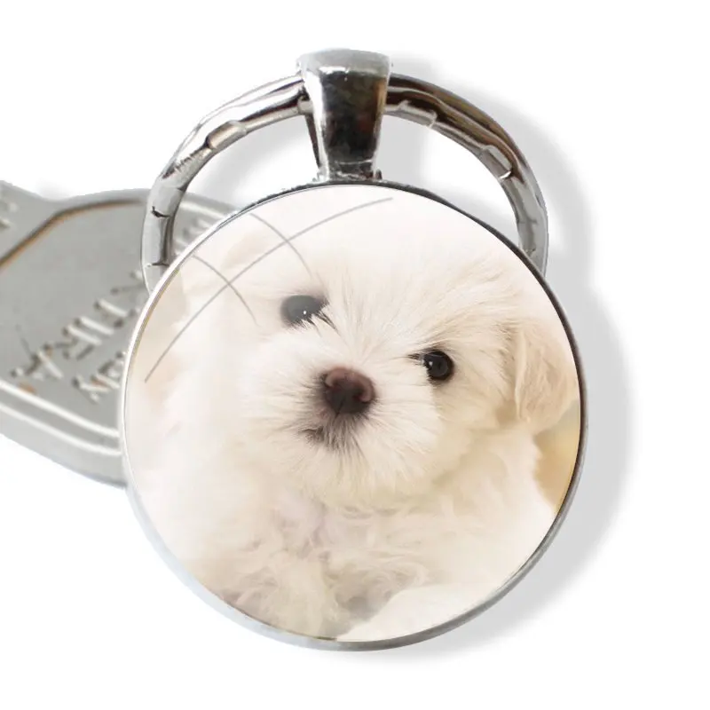 My Maltese Dog 25mm Glass Cabohcon Keychain Key Rings for Women Men Jewelry Gift