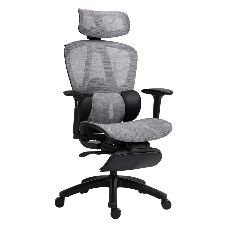 

Ergonomic chair Computer Office Sedentary e-sports Back