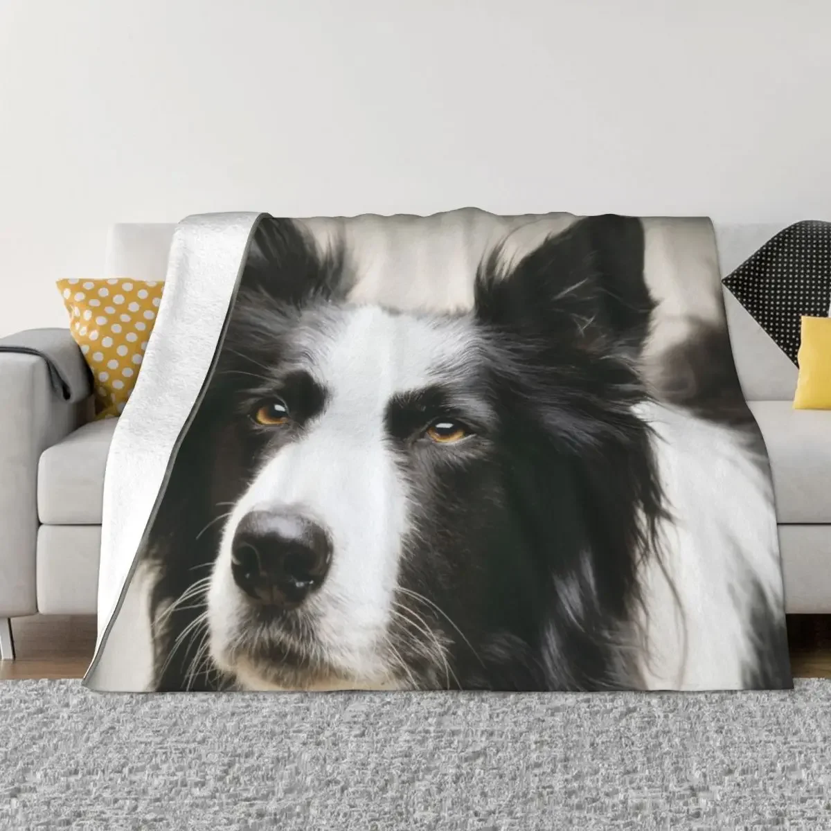 

Working Border Collie Throw Blanket Sofa Quilt Furrys Hairy Personalized Gift Blankets