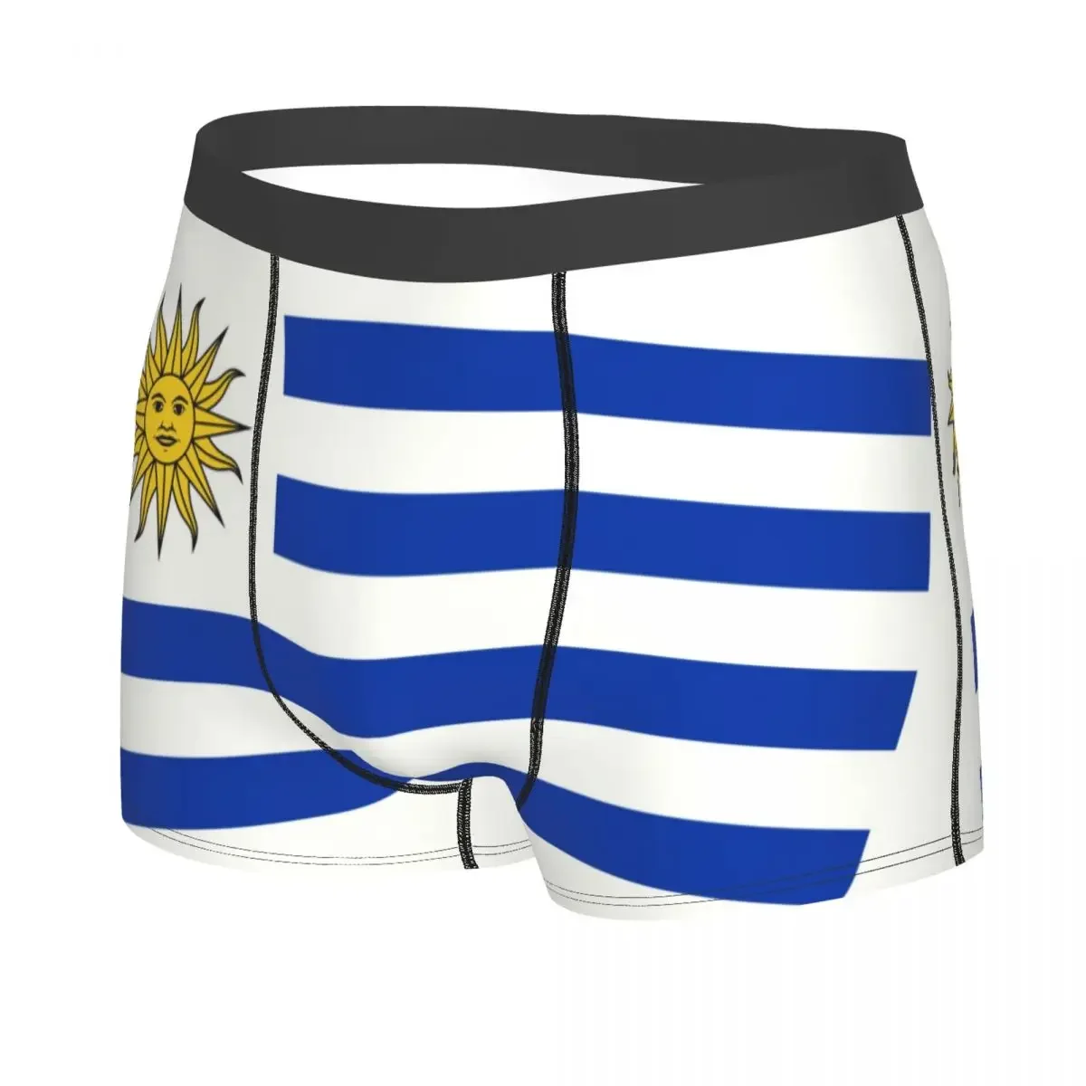 Flag Of Uruguay Underwear Men Sexy Print Custom Boxer Shorts Panties Briefs Breathbale Underpants