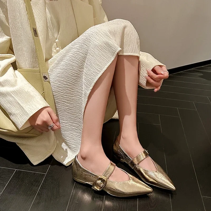 

NEW Spring/Autumn Women Pumps Genuine Leather Shoes for Women Soft Pointed Toe Low Heel Shoes Black Belt Buckle Mary Jane Shoes