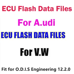 2024 Odis Engineering Flashdaten Ecu Firmware Flash Data Files V.w A.udi For S.eat For S.koda + Odis-e V12.2.0 Software