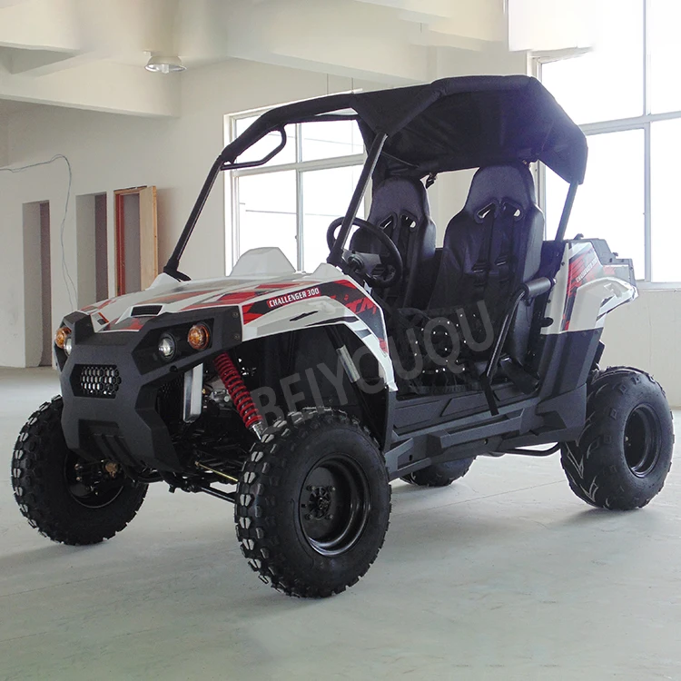 Veicolo utilitario cinese a 2 posti UTV da 200 cc per adulti di buona qualità con un buon prezzo
