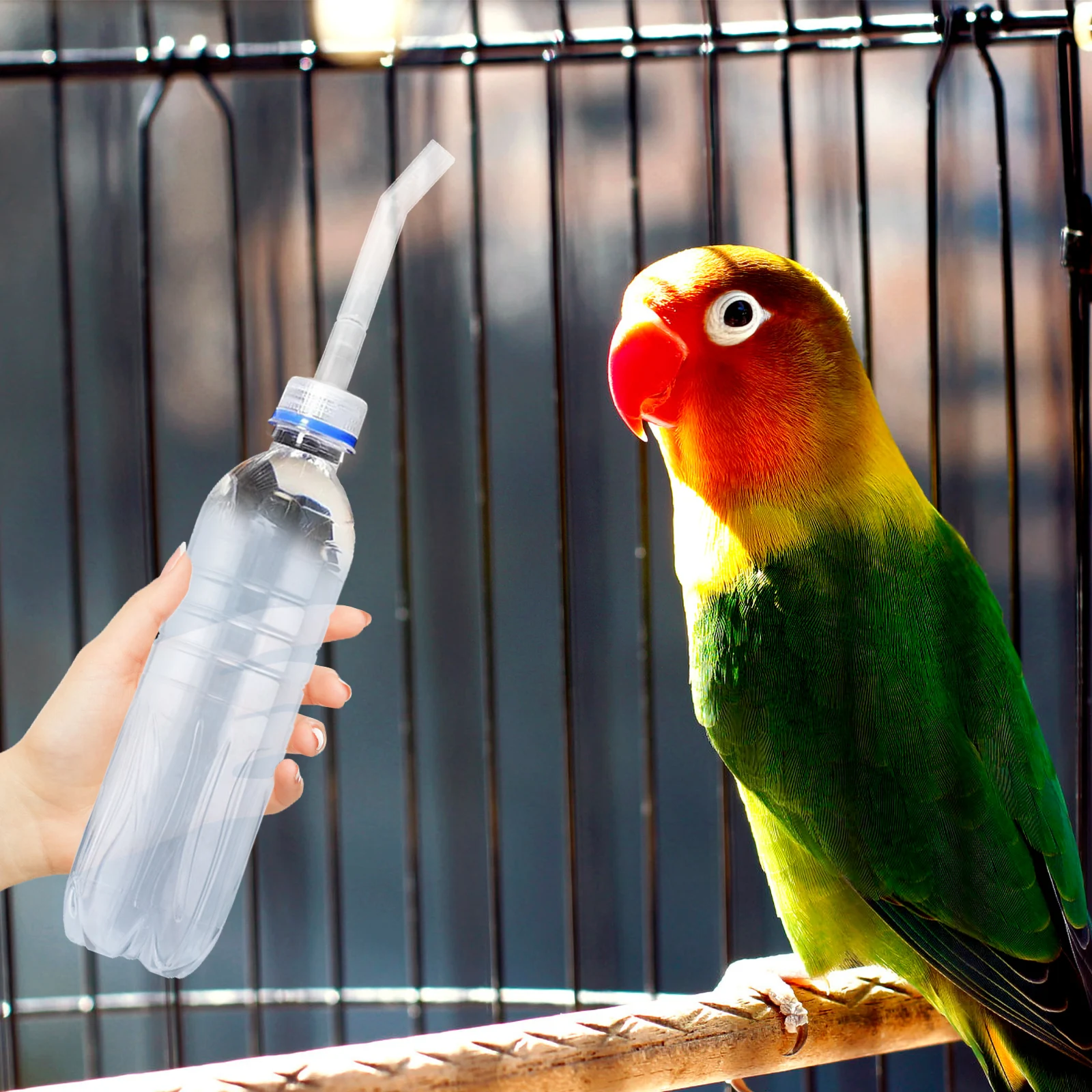 

Parrot Household Parrot Waterer Tube Feeder Pipe Replaceable Durable Pet Bird Drinking Tube Easy Assembly
