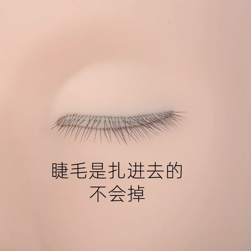 Übungstransplantation der Wimpernkopfform