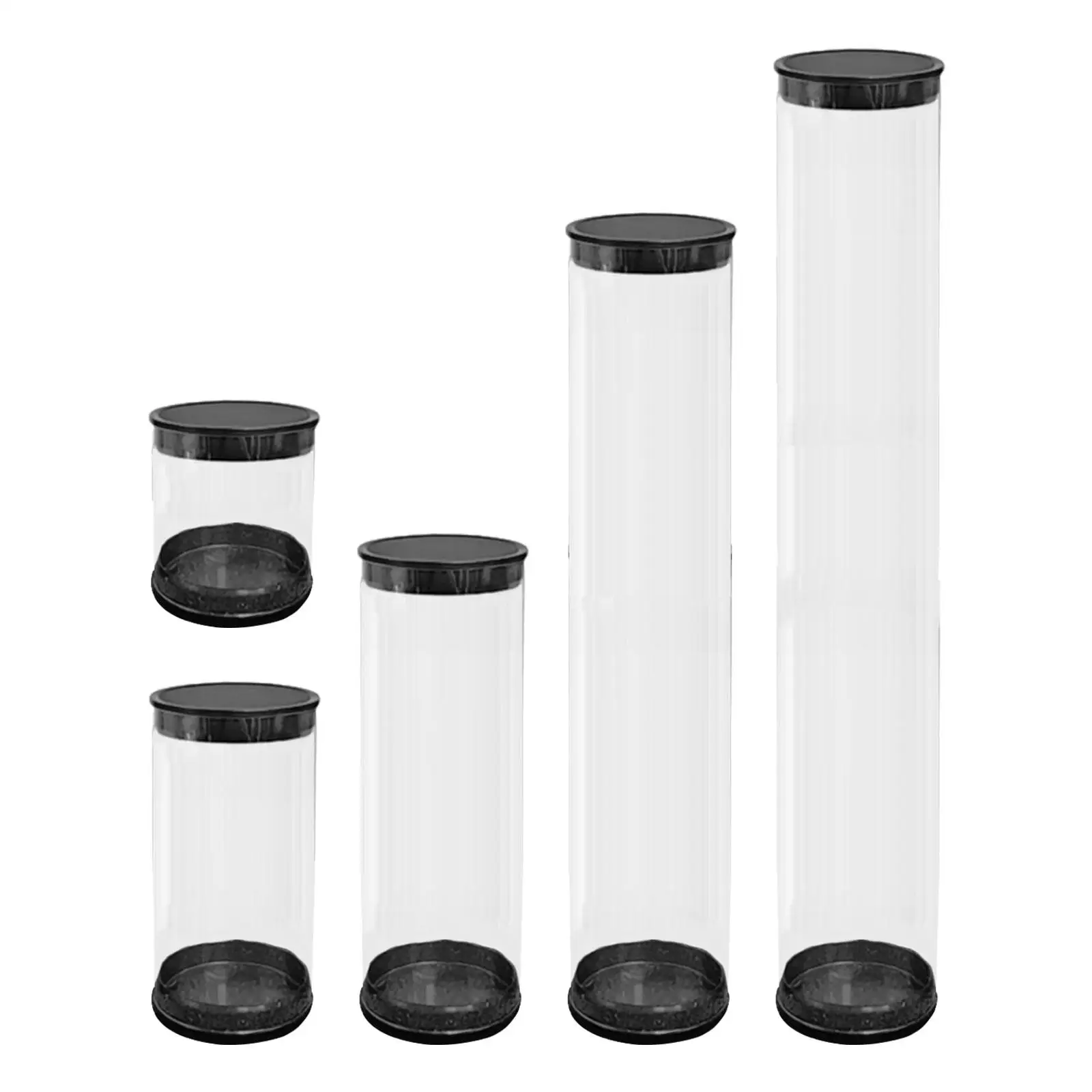 Golf Ball Storage Tube Anti Scratch Cylinder Transparent Collectible Portable Golf Ball Case Packaging Box Golf Accessories
