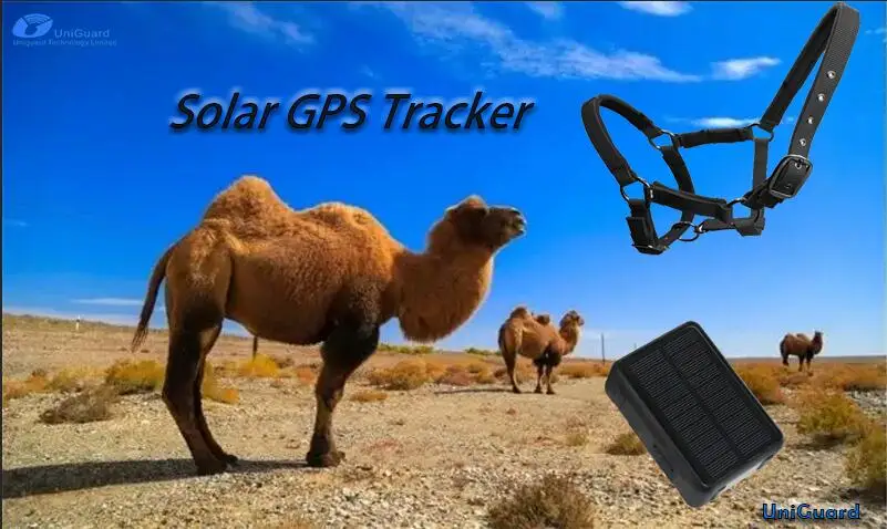 Cattle smart animal gps tracker with app control solar cattle animal gps tracking device for cow self-powered 4G gps tracker