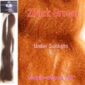 2Pack Brown