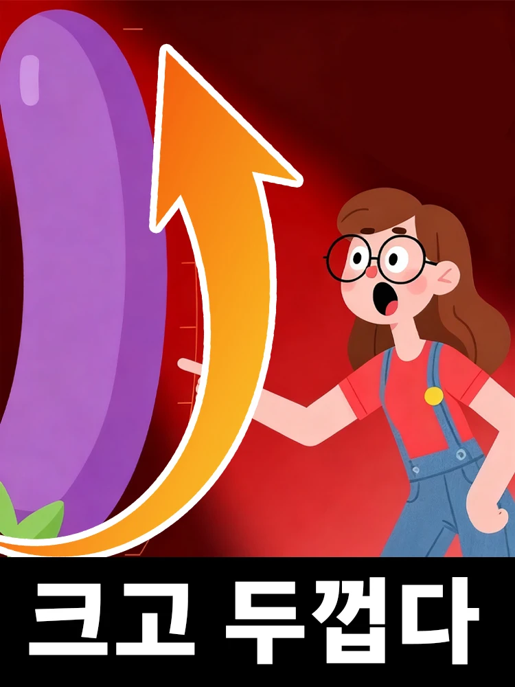 2025년 새로운 업그레이드, 형이 성장하려고 노력하고 있다