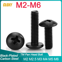 M2 M2.5 M3 M4 M5 M6 TM Screws Phillips Truss Mushroom Head Screw Black Plated Carbon Steel Screw