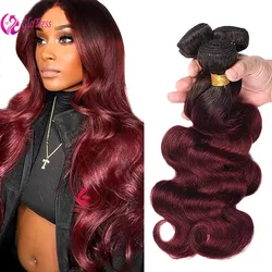 Ombre 1B/99J Burgundy Body Wave Human Hair Bundles 12-26 Inch 12A Unprocessed Brazilian Virgin Hair Extensions for Women 100g/PC