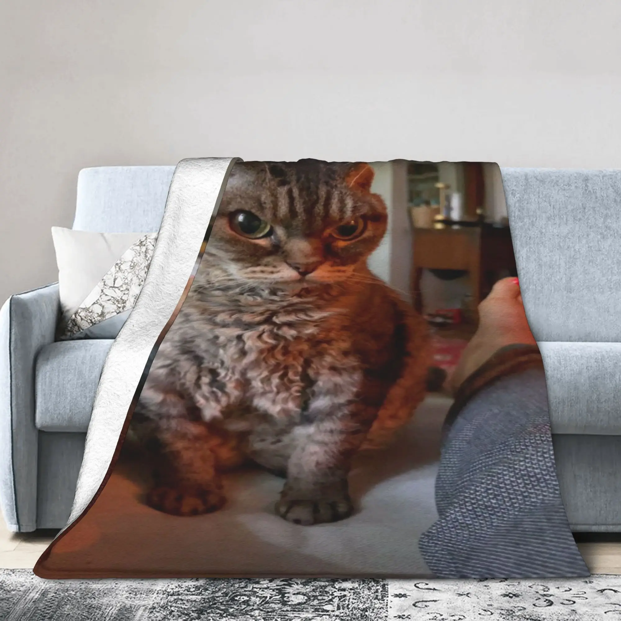 Couverture légère et fine en flanelle, drôle et mignon, chat, chats, mèmes meme Merch, couette fine en peluche confortable