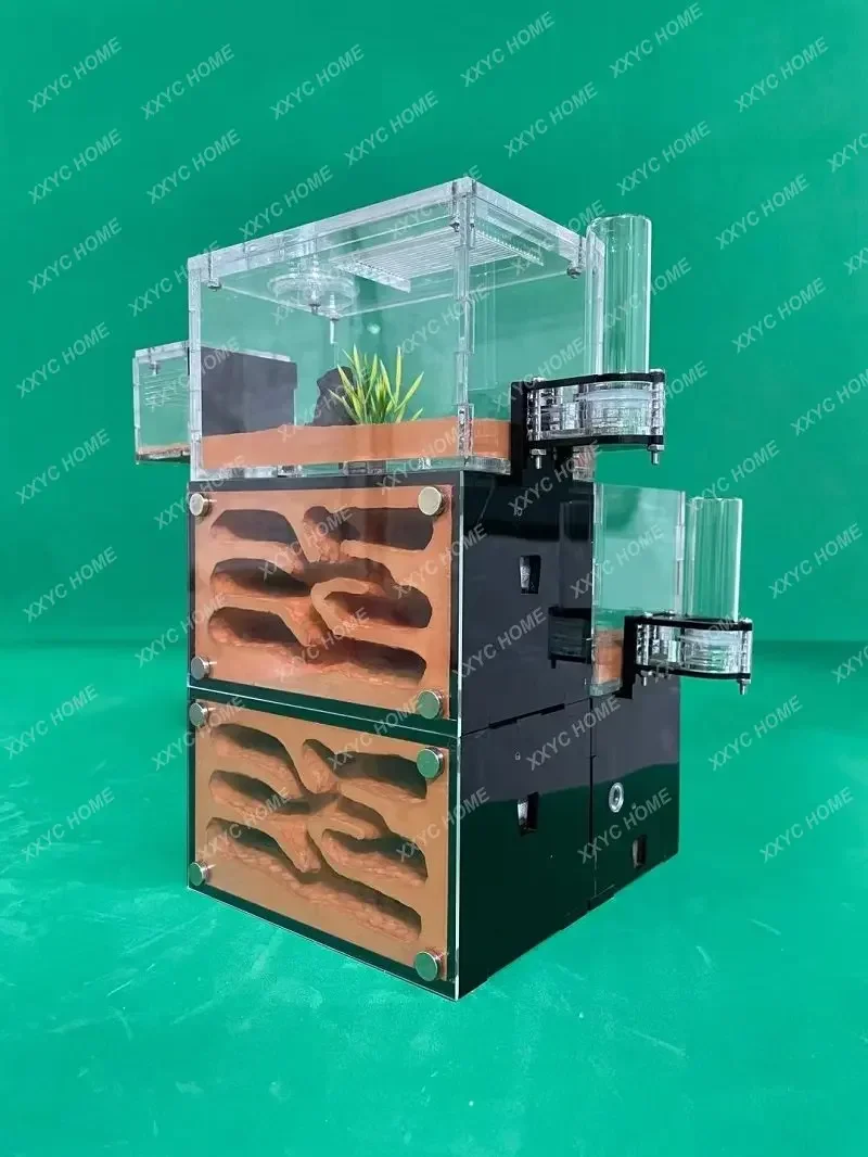 

Муравьиный город, замок для домашних животных, мастерская, домик, гнездо