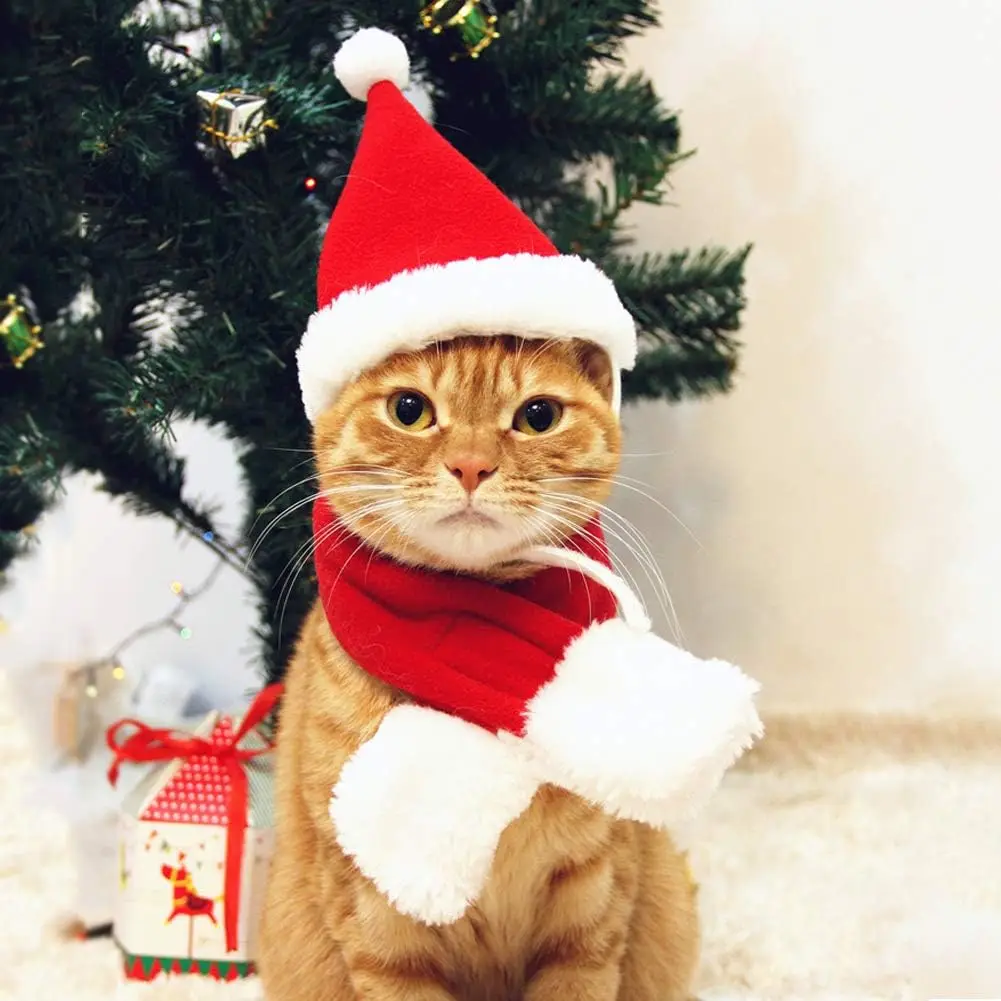 

TONG Cat Santa Hat with Scarf Christmas Hats for Cats Pet Santa Hat Christmas Costume for Rabbit Puppy Cat Christmas Scarf Hat