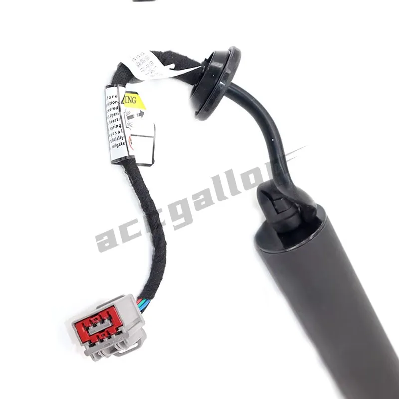 Auto Elektrische Heckklappe Stamm Tür Antriebsmotor Für Ford Explorer Mk5 2016 2017 2018 2019 GB5Z-78402A55-AB Fahrerseite