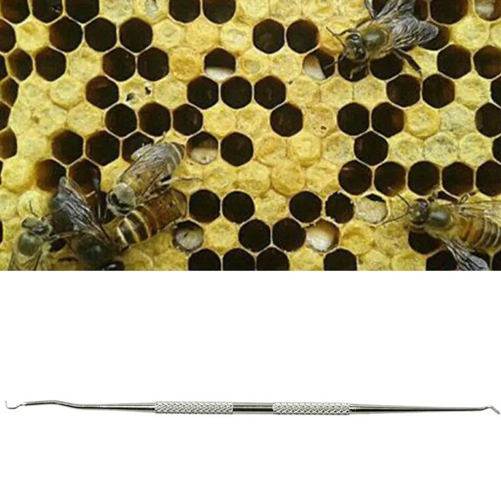 1PCS Stainless Steel Grafting Tool European Style German Grafting Tool Queen Rearing Tool Beekeeping Tool Beehive Equipment