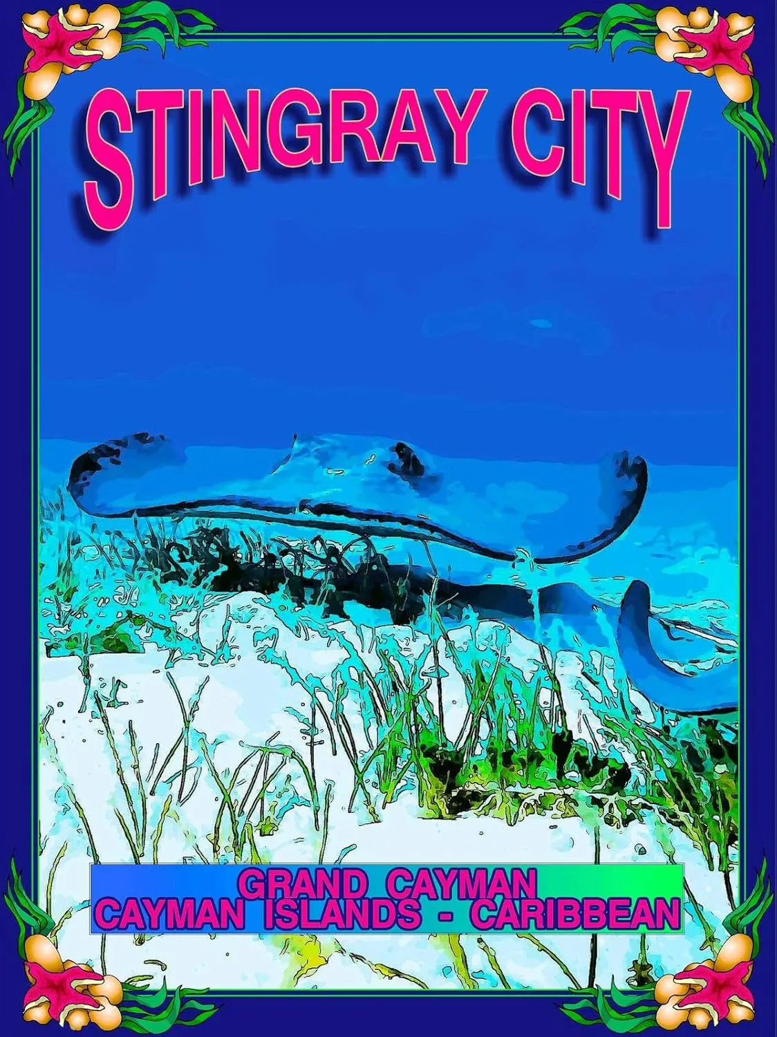 1p,TYmall Metal Sign Wall Plaque Stingray City Cayman Islands Caribbean Island Travel Advertisement Art Retro Decor House Home M