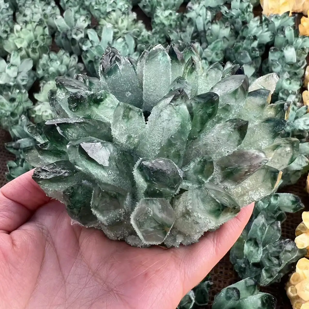 

300-1000g Natural Green Ghost Phantom Quartz Crystal Cluster Healing Specimen