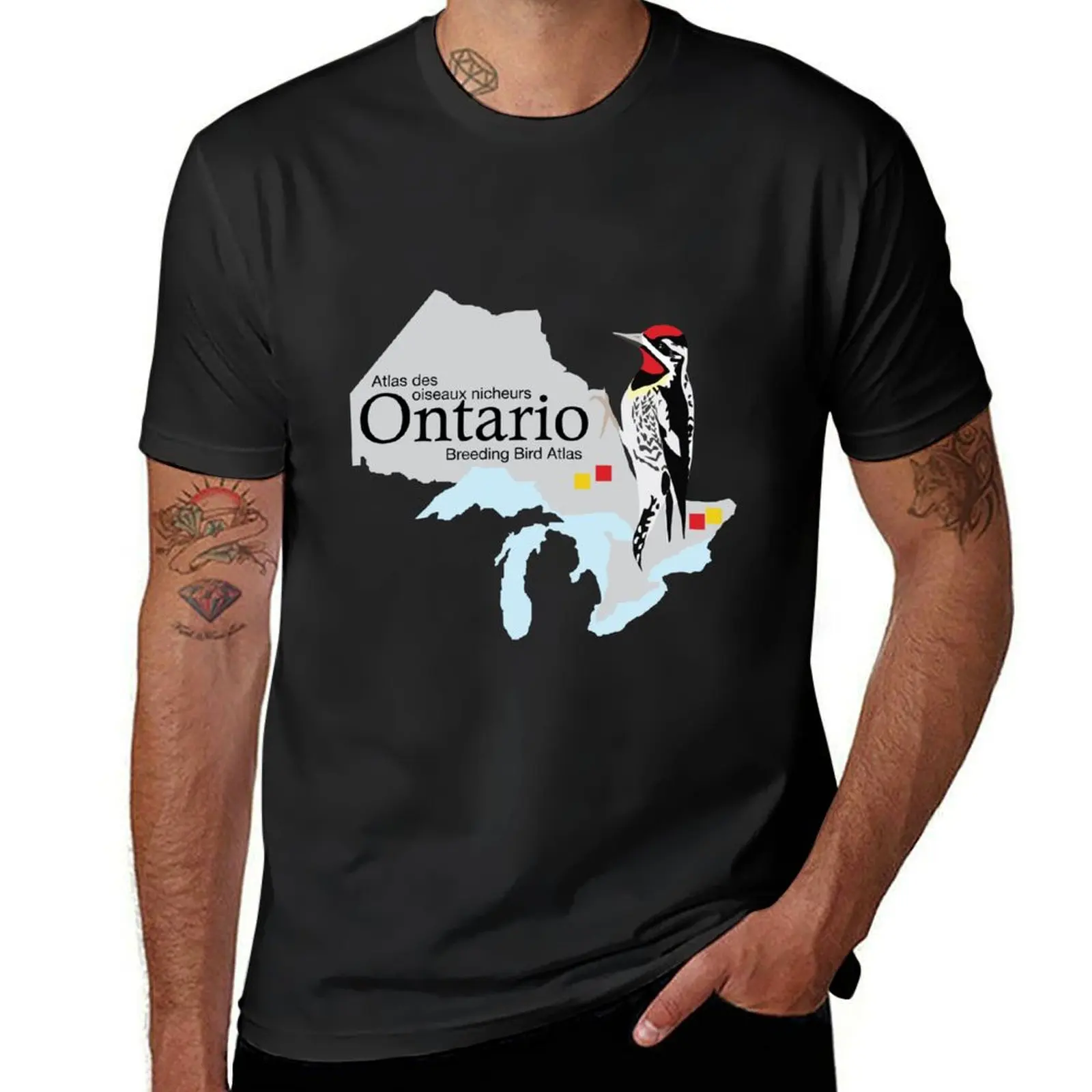 Ontario Breeding Bird Atlas Standard Logo T-Shirt quick-drying aesthetic clothes Men's t shirts