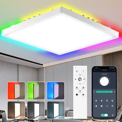 Ściemnialna lampa sufitowa Inteligentna lampa kwadratowa Wifi RGB LED do salonu Korytarz Garaż Zdalne sterowanie Światła górne Podświetlenie Alexa