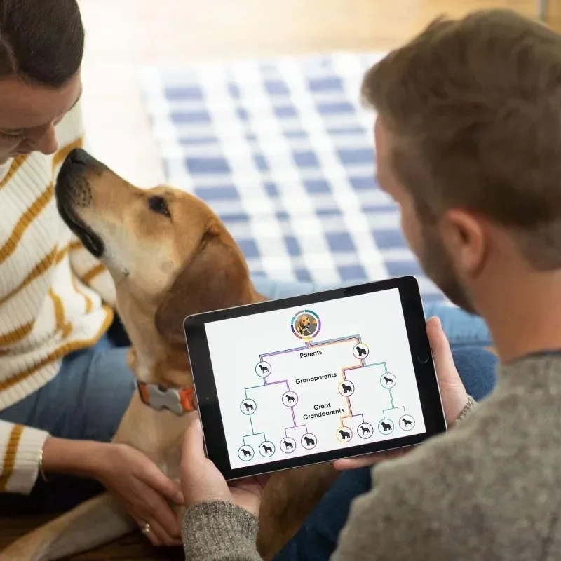 Outdoor Furniture N…