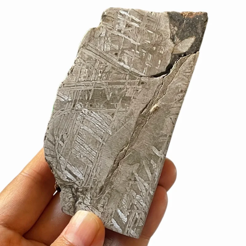 Muonionalusta Iron Meteorite Slice Etched Widmanstatten Pattern Specimen With Original Crust Mineral Collection Display CC258