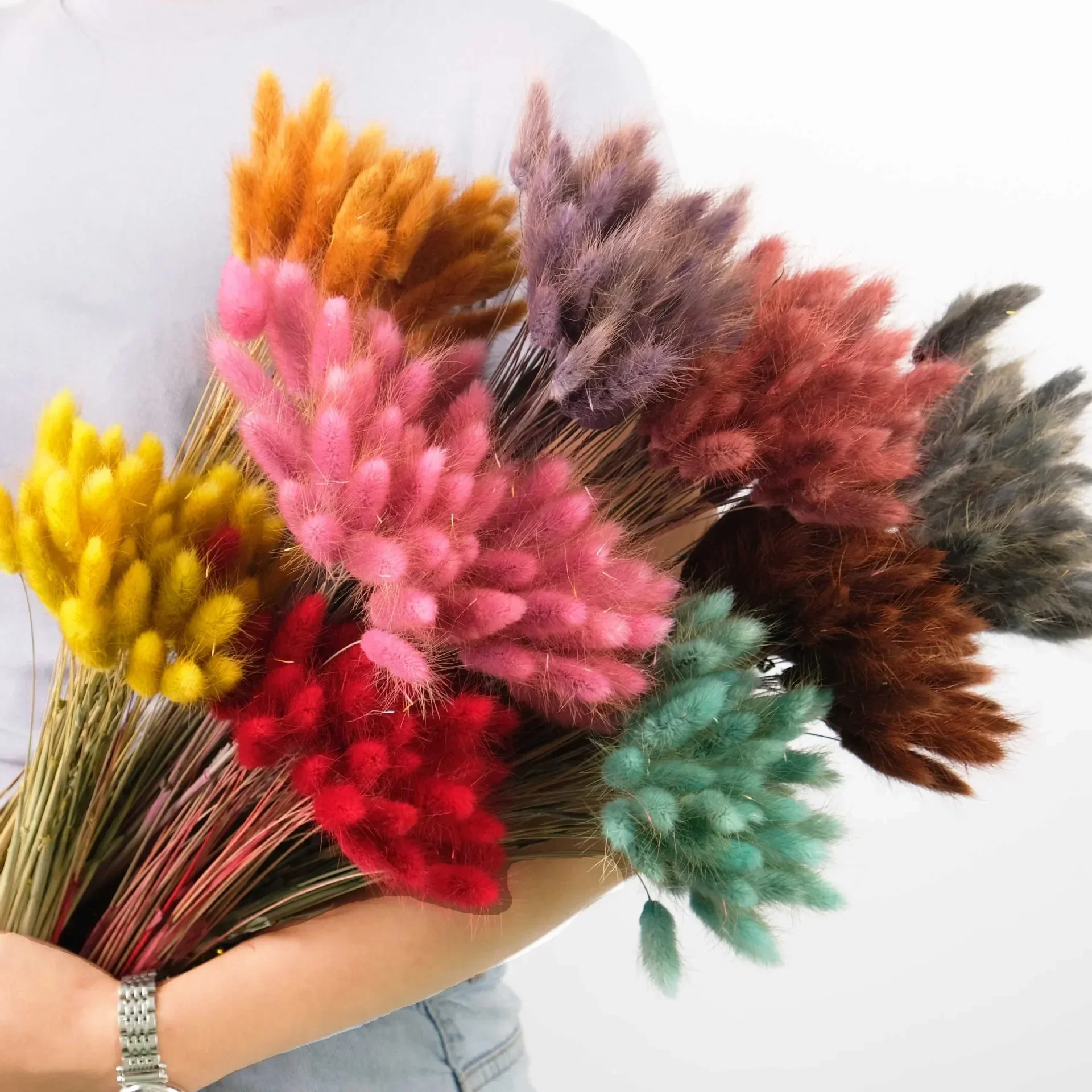 A bundle of 60pcs Dried Flowers Rabbit Tail Grass Premium Pampas Reed Immortal Dried Bouquet Wedding Party Decoration Plants