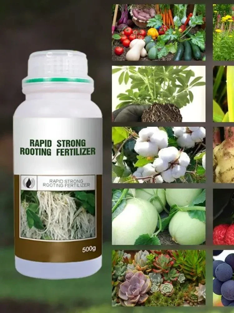 Agent d'enracinement universel pour plantes d'engrais à enracinement rapide et fort, coupures avec un puissant Agent de poudre d'enracinement pour la maison et le jardin