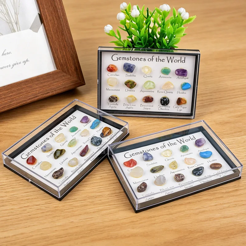 1 ensemble de 15 types de pierres naturelles, boîte de spécimens minéraux, collection d'échantillons éducatifs pour enfants, cadeau, décoration de la maison