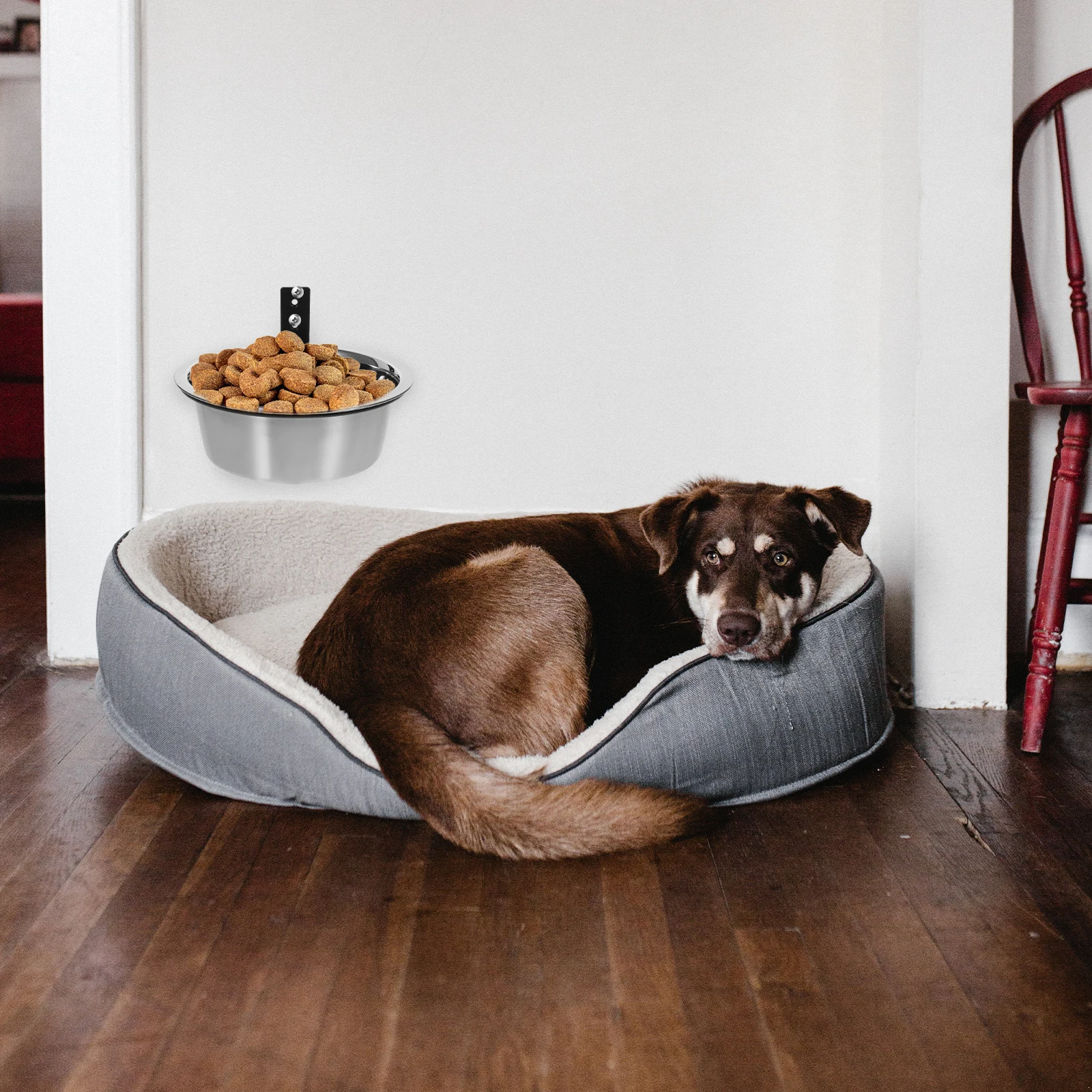 

Elevated Dog Bowl Water for Dogs Wall-mounted Raise Silver Stainless Steel Travel