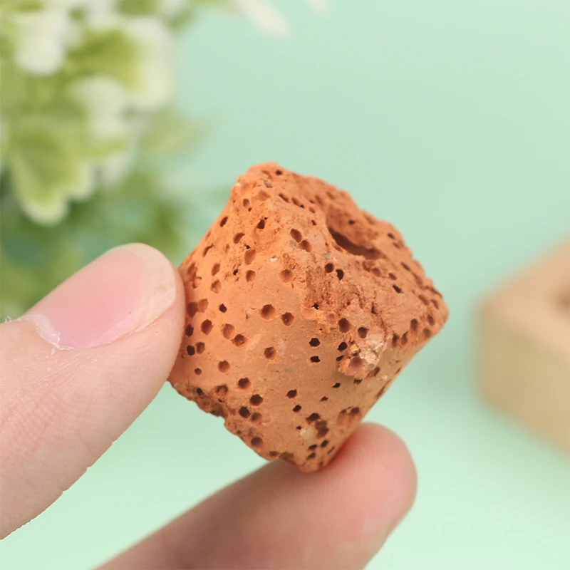 [J] 10Pcs Plant Ring Aquarium Fixed Watertank Filter Weights