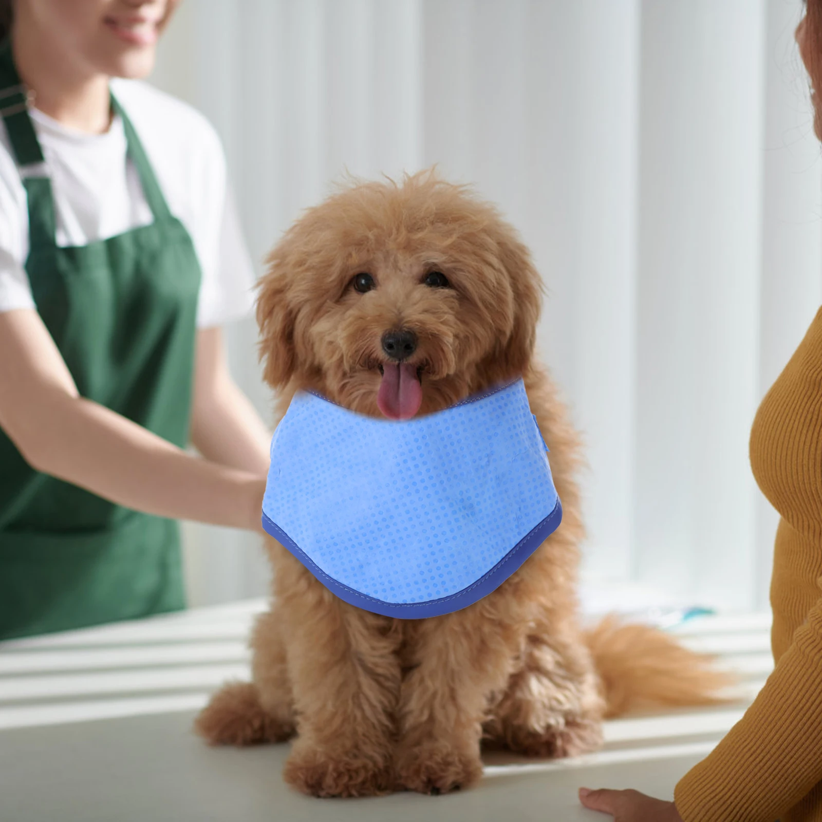 

Cooling Breathable for Dogs Summer Pet Collar Decor Neckerchief Dog Summer Dog Collar Accessories