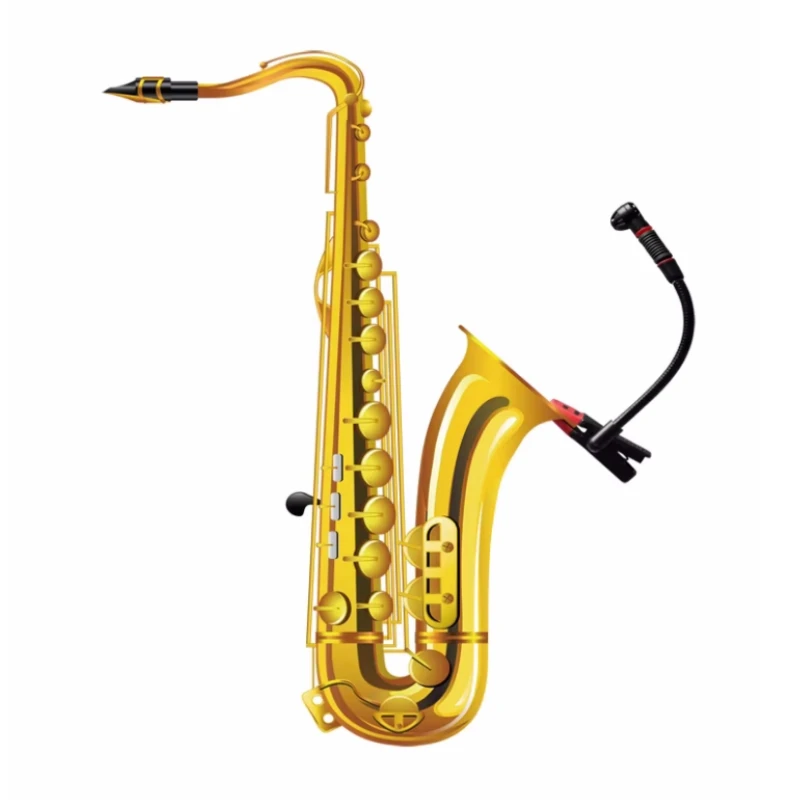 IM500 Professional Instrumental Condenser Microphone Gooseneck Mic For Orchestra Saxophone Trumpet Saxe view 4