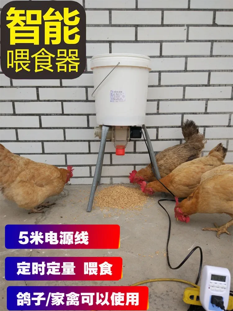 Chicken automatic feeder pigeon, carrier pigeon feeding trough timing automatic feeding, pigeon supplies utensils